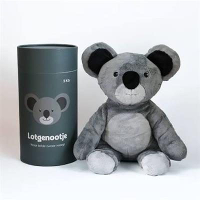 PATlotgenootjeKoala_Lotgenootje Koala_1.jpg